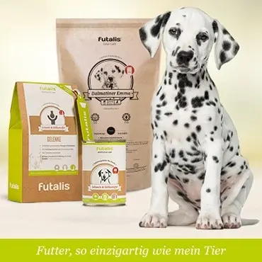 Welches Futter für Dalmatiner?