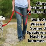 Eine Frau geht mit ihrem Dalmatiner im Wald