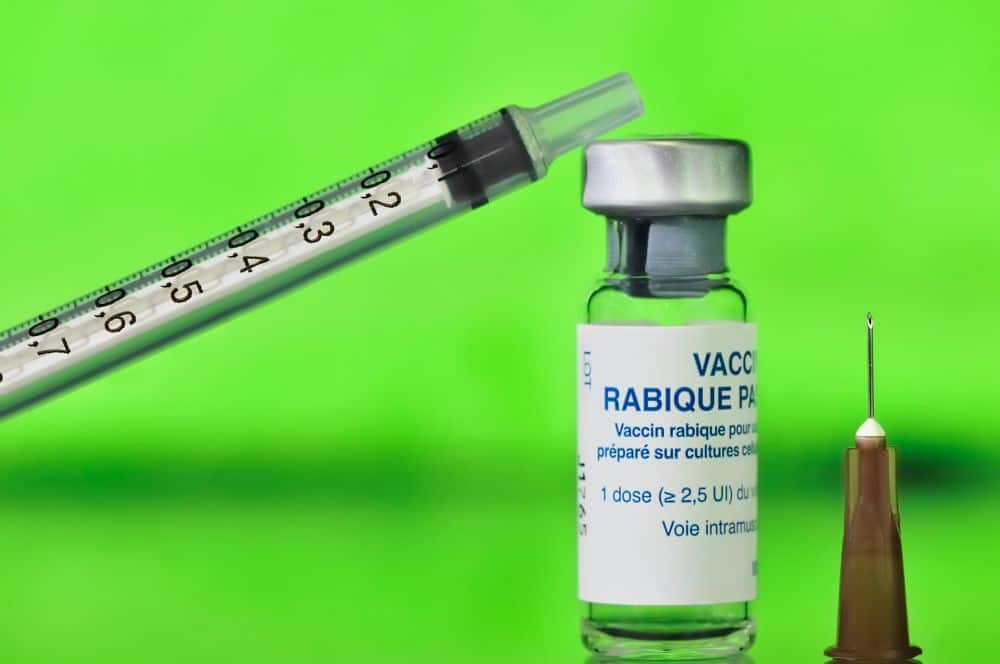 Spritze mit Impfserum