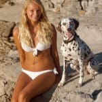 Urlaub mit Dalmatiner