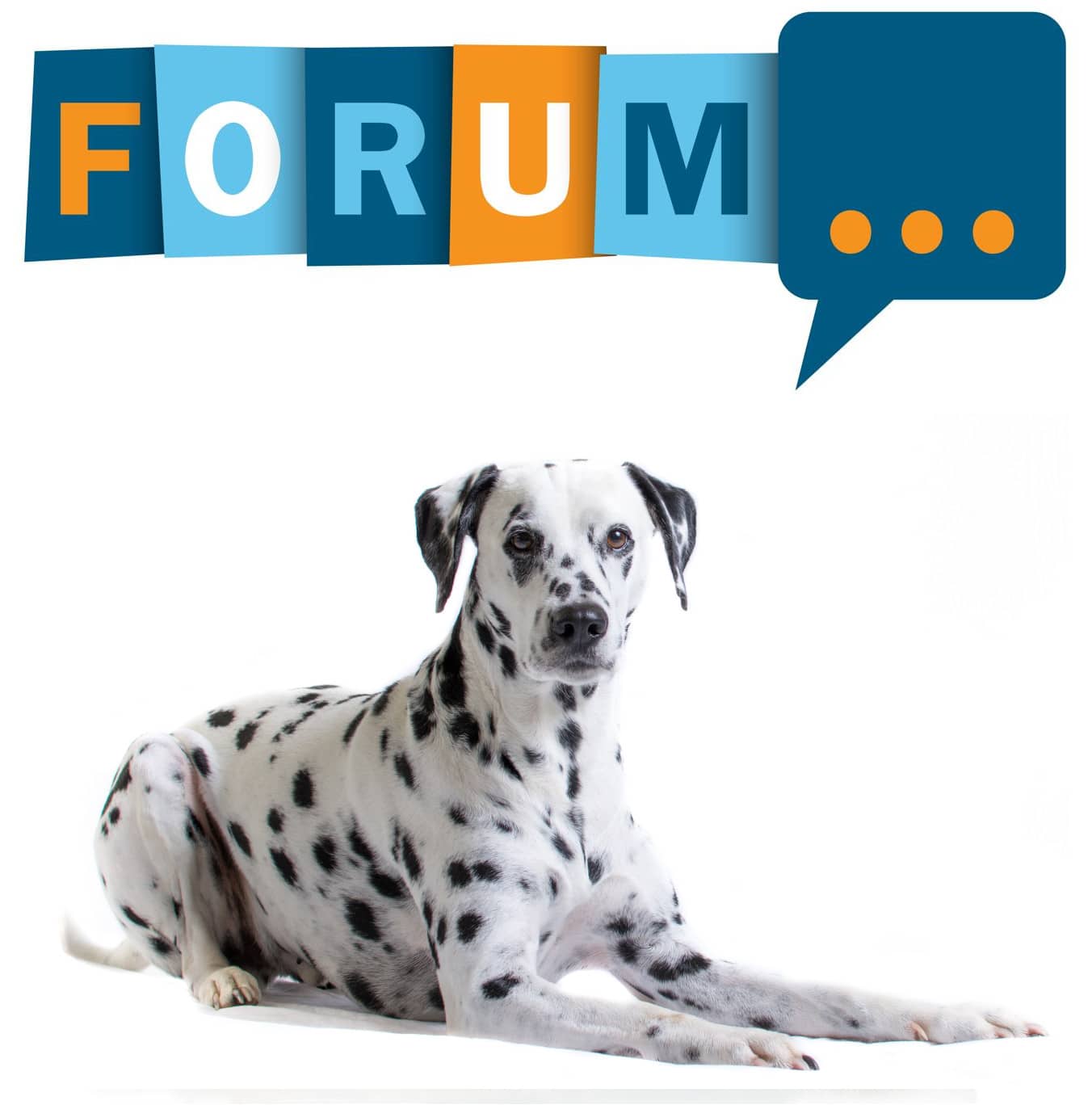 Dalmatiner Forum: Fragen und Antworten zum Dalmatiner