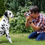 Mann fotografiert mit einer alten Analogkamera einen Dalmatiner im Garten.