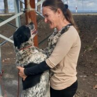 DINGO - Ein toller Hund, der ein liebevolles Zuhause so sehr verdient hat! (sucht noch - 15.04.25)