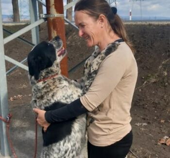 DINGO - Er ist so ein toller Hund, der ein liebevolles Zuhause so sehr verdient hat!