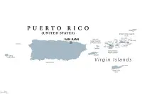 Dalmatiner Züchter in Puerto Rico,Estado Libre Asociado de Puerto Rico Dalmatiner Züchter in Puerto Rico,Estado Libre Asociado de Puerto Rico