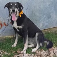 Beka sucht Ihre Familie