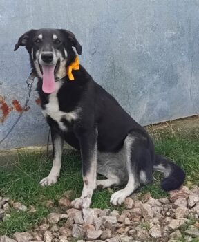 Beka sucht Ihre Familie