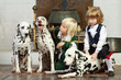 Two little boys in medieval costumes sit with three dalmatians